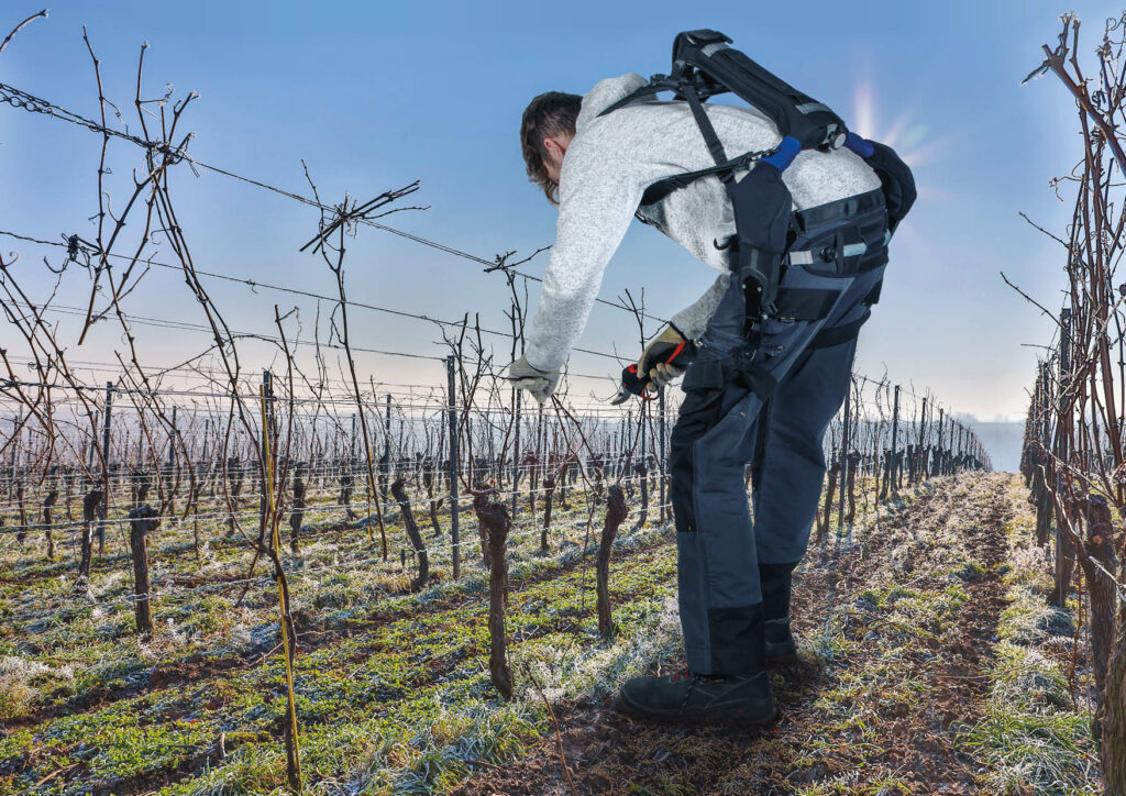 Un partenariat ambitieux entre la MSA de Franche-Comté et le pôle d’innovation AgrOnov