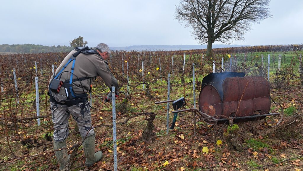 Exosquelette SYMBO utilisé en viticulture