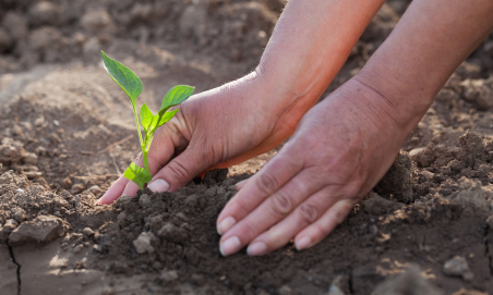 Solutions pour réduire la pénibilité des agriculteurs et protéger leur santé